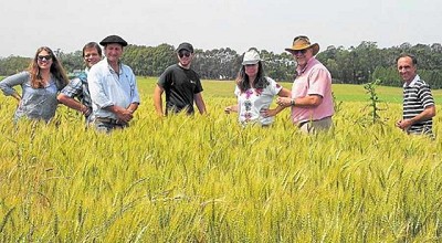 El 2021 va a ser bueno, no por el Gob. sino por la creatividad de la gente y el campo; por R. Bindi