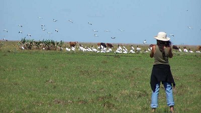 El INTA inició el mapeo de la distribución y usos de humedales