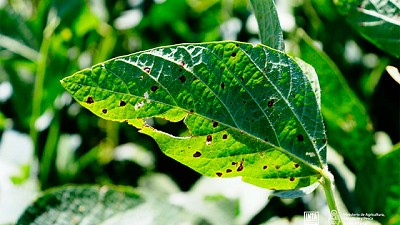 No nos olvidemos de las Enfermedades de Fin de Ciclo (EFC)