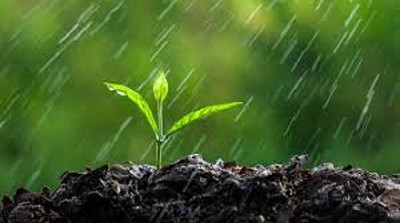 Clima: Los primeros días de febrero deja zonas excluidas de lluvias - CCA