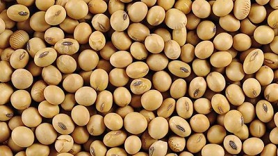 La soja de 1ra está a solo un quintal de la de la 2019/20