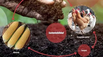 Importancia del compostaje y cómo se hace
