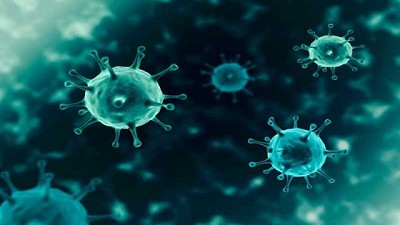 USDA, FDA Y CDC enfatizan que la información epidemiológica y científica actual revela que no hay trasmisión de Covid-19 a través de alimentos envasados