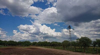Impuesto a la riqueza: en el campo ya hay consultas para una batalla judicial
