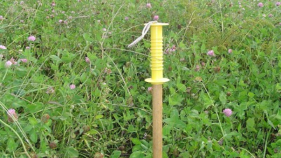 Mezclas forrajeras para pasturas templadas de corta duración