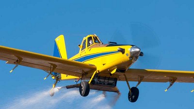 Con los cultivos de servicio se puede bajar un 50% en el impacto ambiental