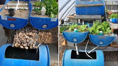 Cómo hacer un sistema acuapónico vertical para pequeños patios y casas