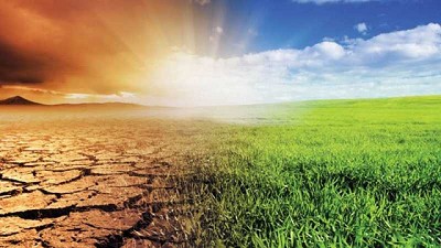 Estudio encuentra que el cambio climático está alterando la vida microbiana en los suelos