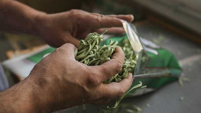 Agricultura abrió la convocatoria del Programa Nacional 