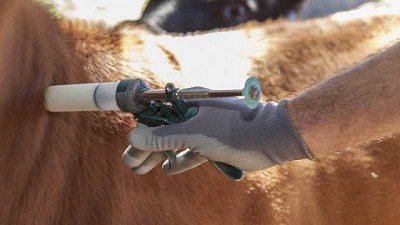 Resistencia antimicrobiana: un problema que atraviesa “Una salud”