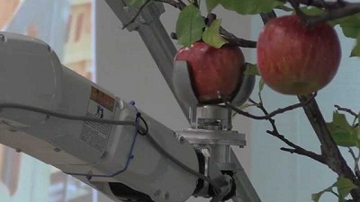 En Japón lanzaron un robot que recolecta frutas como una persona