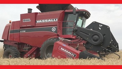 Vassalli lanza una promoción con un ojo puesto en el segundo trimestre