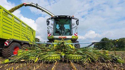 Cuatro necesidades que marcan tendencia en el silaje