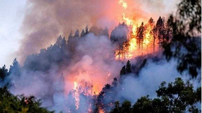 En lo que va del año se incendiaron más de 40 mil hectáreas
