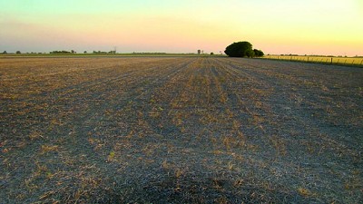 Atacar en el barbecho largo, para ganarle el partido a las malezas desde el primer minuto