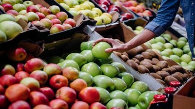 IESE de España: Una de cada dos compañías agroalimentarias se fusionará en 2021