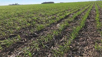 El agua invisible, un recurso estratégico