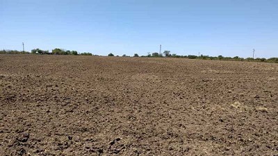 Farer pidió la emergencia agropecuaria para cuatro departamentos entrerrianos