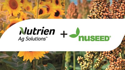 Alianza estratégica para la comercialización de girasol y sorgo