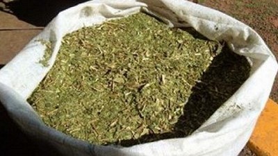 La Argentina logró la apertura del mercado de yerba mate a India