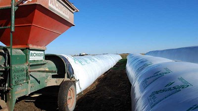 Poscosecha: pautas para lograr un almacenamiento seguro