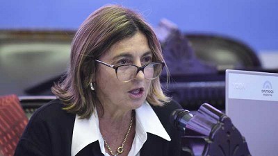 Diputada PRO busca proteger las propiedades e inmuebles de las familias afectadas por los incendios