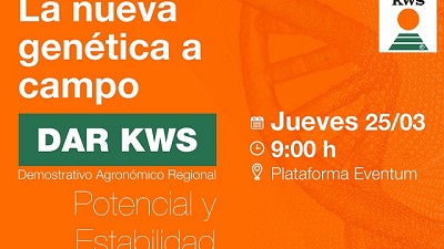 Maíz: estabilidad y potencial serán protagonistas en el próximo DAR de KWS
