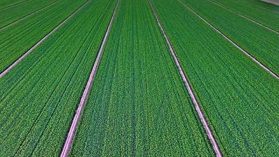 Científicos desarrollaron un dispositivo para 