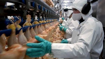 La Federación de la Carne sumó un 7% en la paritaria avícola 