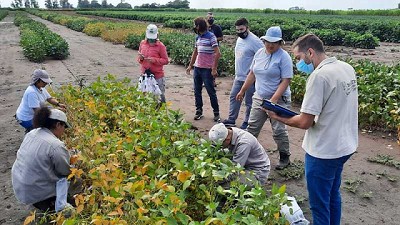 El RENATRE Santa Fe Sur aumentó las fiscalizaciones durante la pandemia en busca de regularizar el trabajo rural