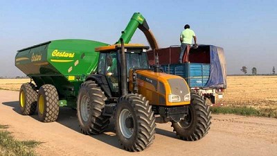 Cestari redobla la apuesta exportadora en 2021