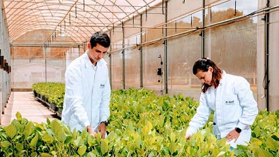 BASF impulsa la innovación para una agricultura cada vez más sustentable