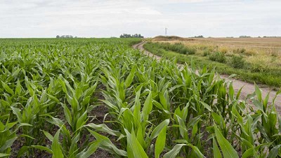 RAVIT y UPL trabajan con 