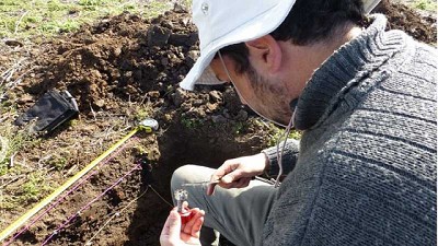 Con residuos avícolas mejoran la fertilidad y estructura del suelo