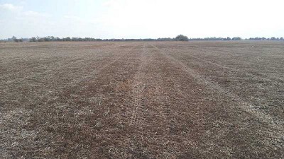 No dejar para mañana, lo que puedes hacer hoy