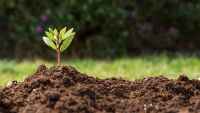 Microorganismos: una tendencia sustentable y efectiva para el agro