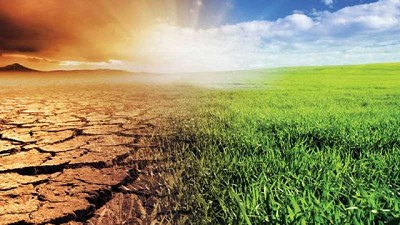 El cambio climático ha costado 7 años de crecimiento de la productividad agrícola