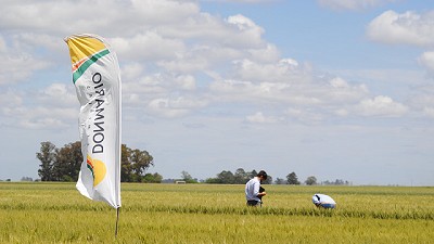 Con una propuesta sólida y opciones para cada productor DONMARIO encara la campaña de trigo 2021