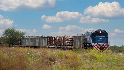 Trenes Argentinos Cargas aumentó un 19% sus toneladas transportadas durante el primer trimestre en comparación con el año anterior y un 50% respecto del 2019