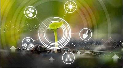 Los Cultivos de Cobertura, claves para intensificar la agricultura