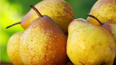 Argentina frente al desafío del mundo de la pera