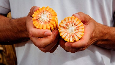 Qseeds pone el foco en la cercanía y el servicio al cliente. 