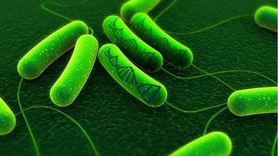 Los microbios le hacen frente al cambio climático