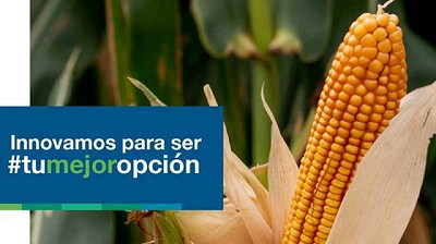 NK lanzó su campaña 2021 con grandes novedades