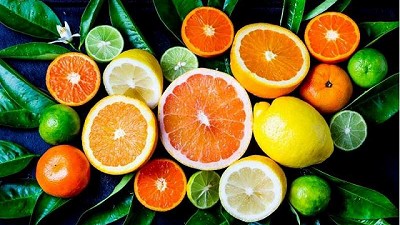 Unión Europea revoca prohibición de importación de cítricos de Argentina