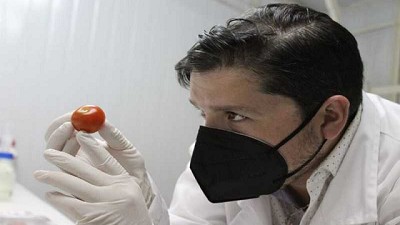 Nanocompuesto de origen natural podría ofrecer soluciones a la hortofruticultura