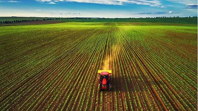 Sector Agroalimentario se enfrenta a diversos desafíos económicos en 2021