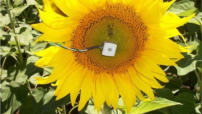 Micrometeorología: el clima bajo la lupa