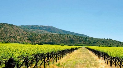 El rubro agroalimentario se destaca en las relaciones comerciales entre Argentina y Croacia