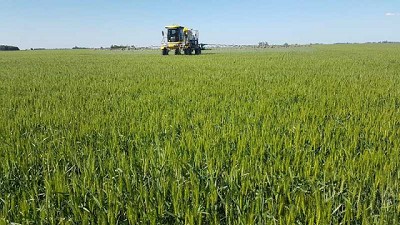 Un cofactor para aplicaciones más eficientes y sustentables